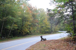 typische weg in de White Mountains | Lancaster